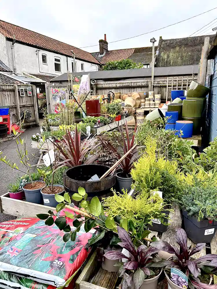 Garden Centre